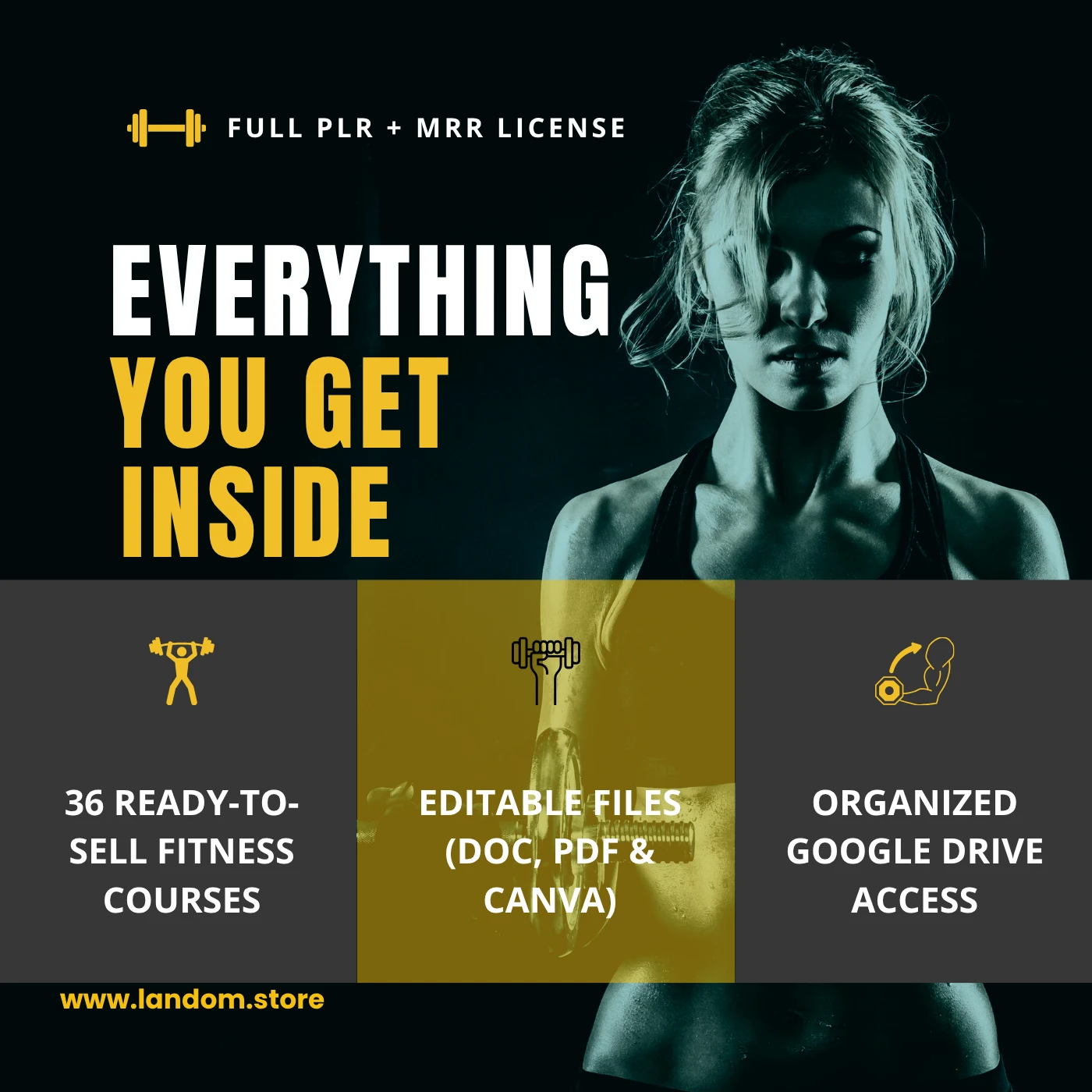 36 Fitness Courses Collection with PLR & MRR Rights 2 36 Fitness Courses Collection with PLR & MRR Rights - Image 2