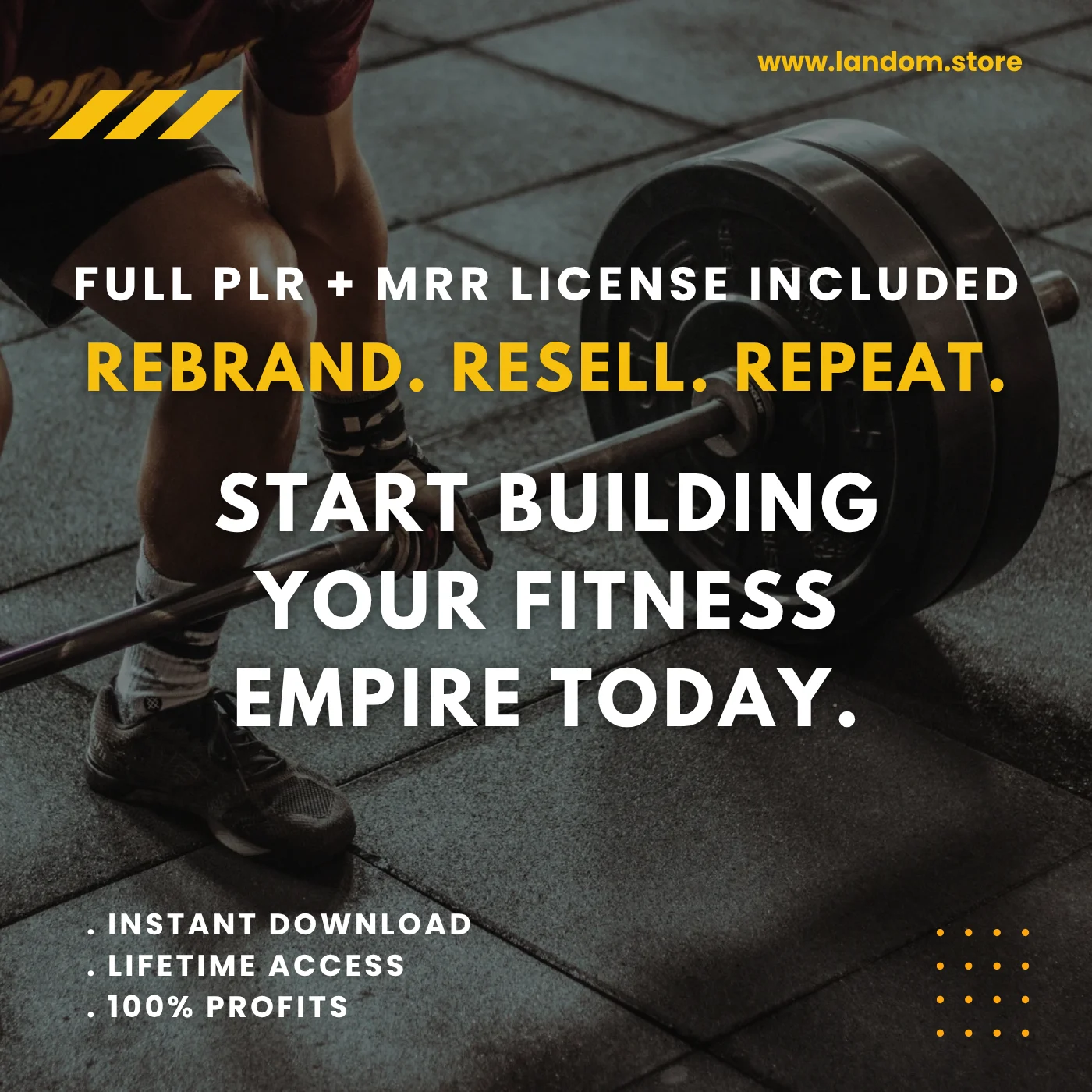 36 Fitness Courses Collection with PLR & MRR Rights 5 36 Fitness Courses Collection with PLR & MRR Rights - Image 5