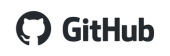 github partner