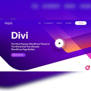 Divi – WordPress Theme