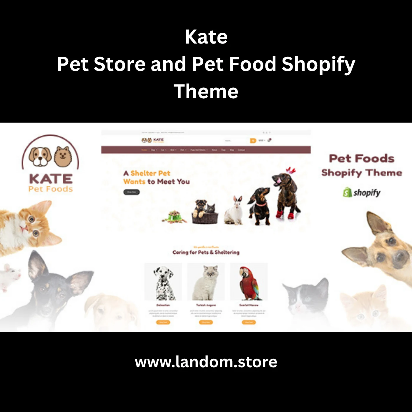 Kate – Pet Store and Pet Food Shopify Theme 1 Kate – Pet Store and Pet Food Shopify Theme